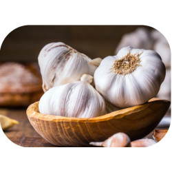 Ail ثوم