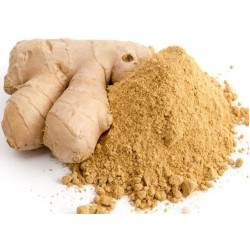 Gingembre Moulu زنجبيل مطحون