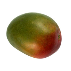 Mangue مانكو