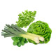 Herbes & Salades