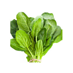 Épinard سبانخ