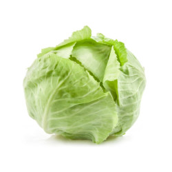 Choux Vert لشو اخضر