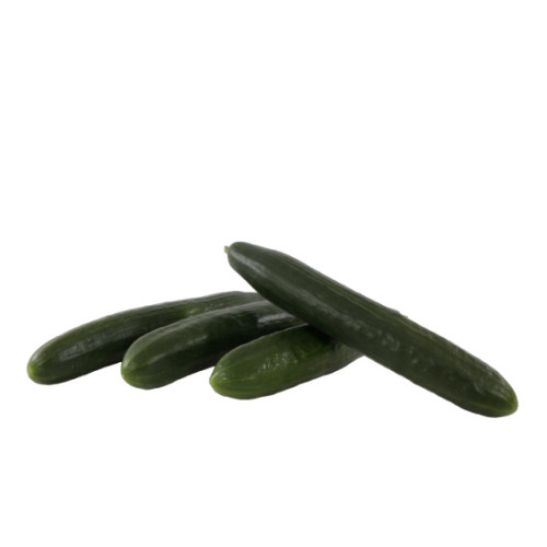 Concombre خيار
