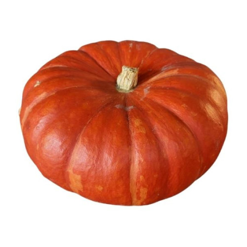 Courge Rouge كرعة حمراء