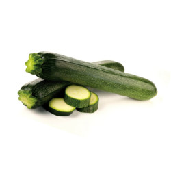 Courgette كورجيط