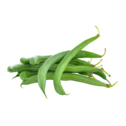 Haricot Vert لوبيا خضراء
