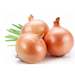 Ognion Rouge بصل احمر