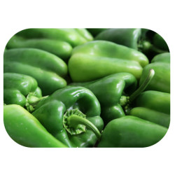 Poivrons Vert فلفلة خضراء