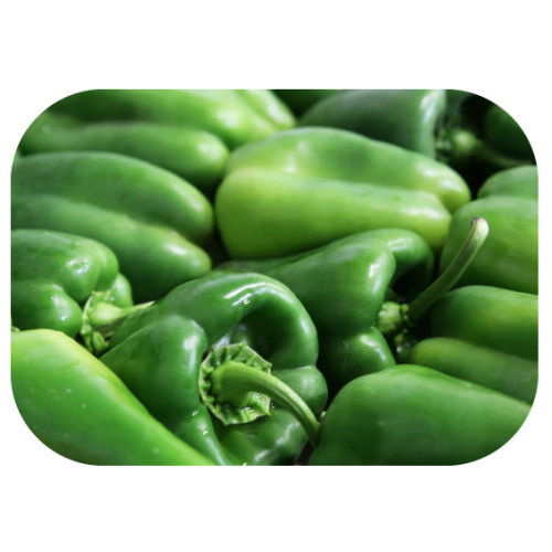 Poivrons Vert فلفلة خضراء