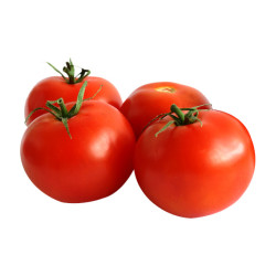 Tomate طماطم